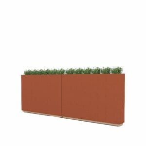 DAISY Space Division Planter