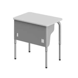 STUDENT Desk with Modesty
